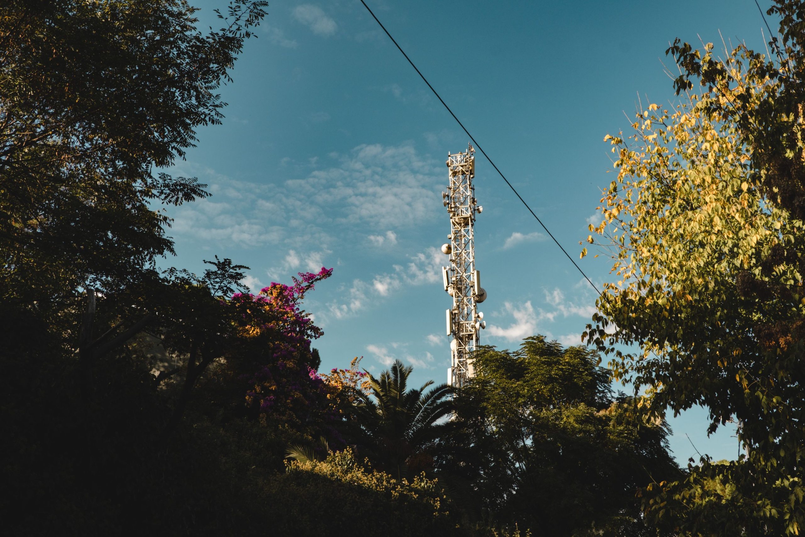 Tour de télécommunications au-dessus des arbres